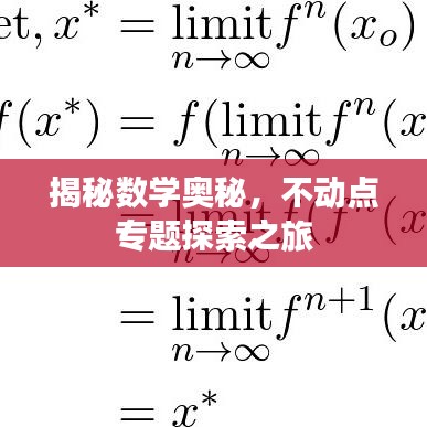 揭秘數(shù)學(xué)奧秘，不動點專題探索之旅