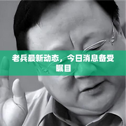 老兵最新動(dòng)態(tài)，今日消息備受矚目