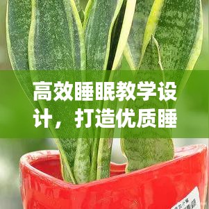 高效睡眠教學(xué)設(shè)計(jì)，打造優(yōu)質(zhì)睡眠模式，提升身心健康質(zhì)量