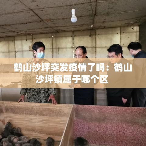 鶴山沙坪突發(fā)疫情了嗎：鶴山沙坪鎮(zhèn)屬于哪個區(qū) 