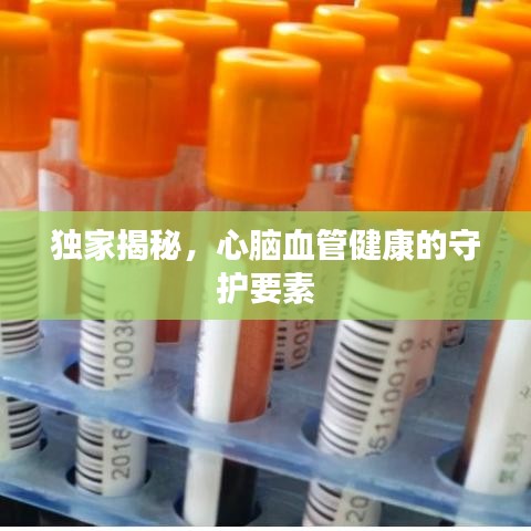 獨(dú)家揭秘，心腦血管健康的守護(hù)要素