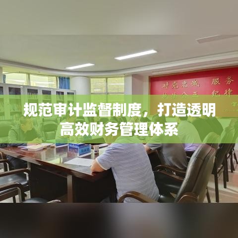 規(guī)范審計(jì)監(jiān)督制度，打造透明高效財(cái)務(wù)管理體系
