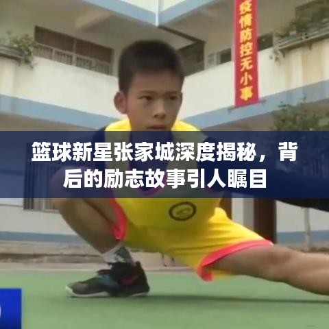 籃球新星張家城深度揭秘，背后的勵(lì)志故事引人矚目