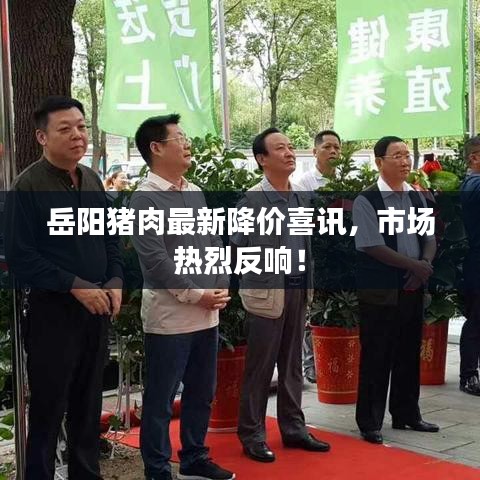 新聞中心 第249頁(yè)