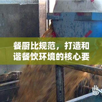 餐廚比規(guī)范，打造和諧餐飲環(huán)境的核心要素