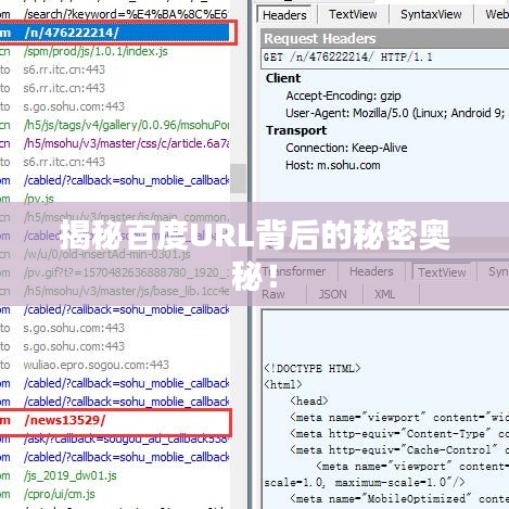 揭秘百度URL背后的秘密奧秘！