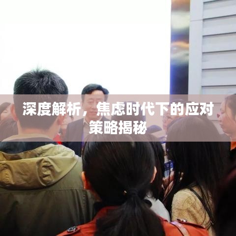 深度解析，焦慮時代下的應(yīng)對策略揭秘