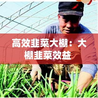 高效韭菜大棚：大棚韭菜效益 