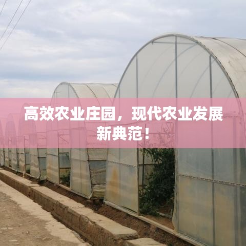 高效農(nóng)業(yè)莊園，現(xiàn)代農(nóng)業(yè)發(fā)展新典范！