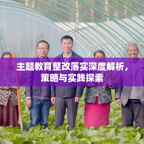 主題教育整改落實(shí)深度解析，策略與實(shí)踐探索
