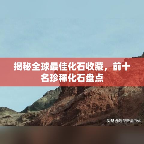 揭秘全球最佳化石收藏，前十名珍稀化石盤點