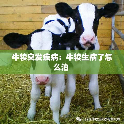 牛犢突發(fā)疾?。号偕×嗽趺粗?