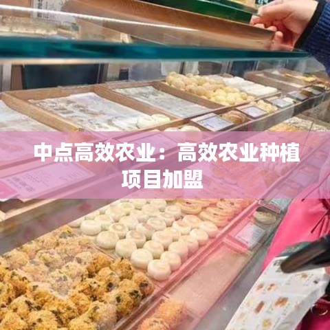 中點(diǎn)高效農(nóng)業(yè)：高效農(nóng)業(yè)種植項(xiàng)目加盟 