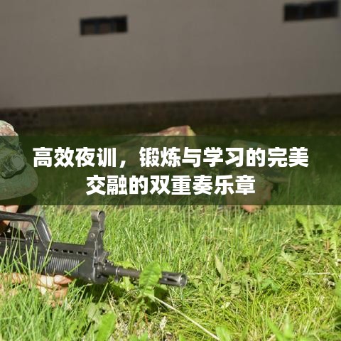 高效夜訓(xùn)，鍛煉與學(xué)習(xí)的完美交融的雙重奏樂章