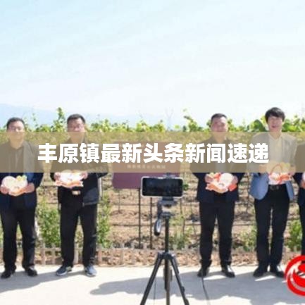 豐原鎮(zhèn)最新頭條新聞速遞