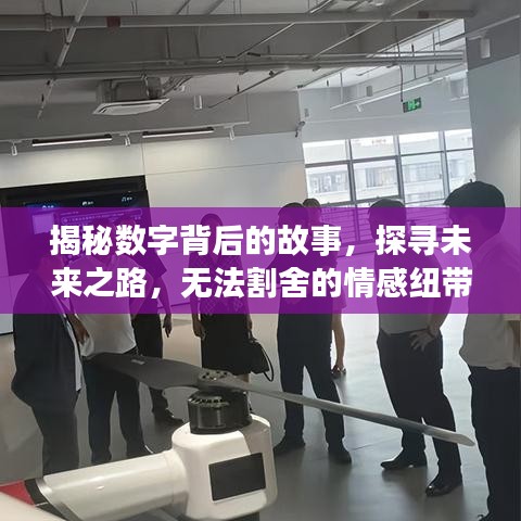 揭秘?cái)?shù)字背后的故事，探尋未來(lái)之路，無(wú)法割舍的情感紐帶