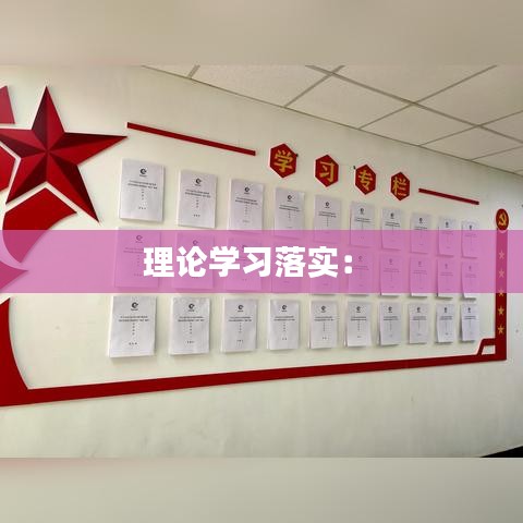 理論學(xué)習(xí)落實： 