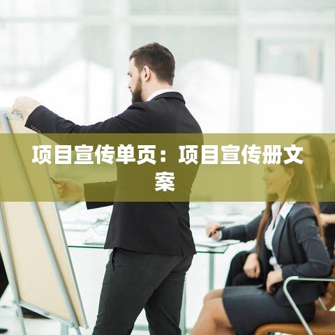 項目宣傳單頁：項目宣傳冊文案 