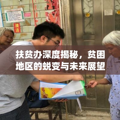 扶貧辦深度揭秘，貧困地區(qū)的蛻變與未來(lái)展望