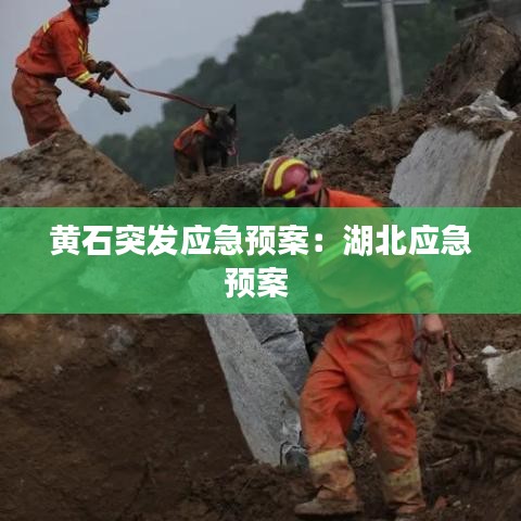 黃石突發(fā)應(yīng)急預(yù)案：湖北應(yīng)急預(yù)案 