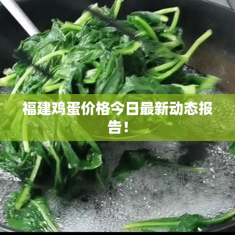 福建雞蛋價(jià)格今日最新動(dòng)態(tài)報(bào)告！