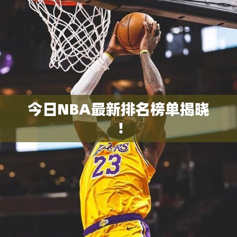 今日NBA最新排名榜單揭曉！