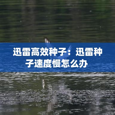 迅雷高效種子：迅雷種子速度慢怎么辦 