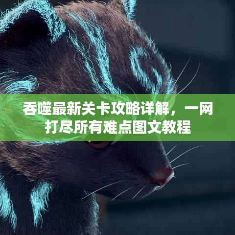 吞噬最新關(guān)卡攻略詳解，一網(wǎng)打盡所有難點(diǎn)圖文教程