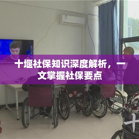 十堰社保知識深度解析，一文掌握社保要點