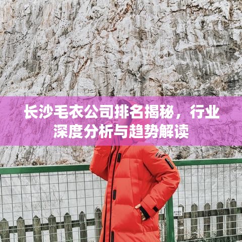 長沙毛衣公司排名揭秘，行業(yè)深度分析與趨勢解讀