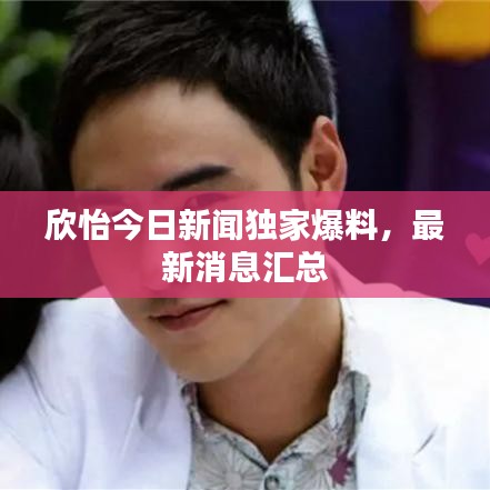 欣怡今日新聞獨(dú)家爆料，最新消息匯總
