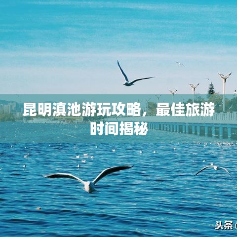 昆明滇池游玩攻略，最佳旅游時(shí)間揭秘