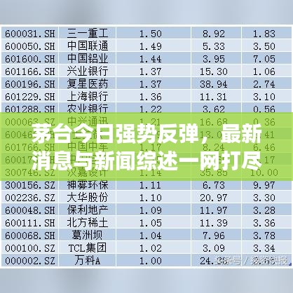 茅臺(tái)今日強(qiáng)勢(shì)反彈，最新消息與新聞綜述一網(wǎng)打盡