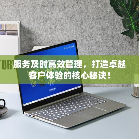 服務(wù)及時(shí)高效管理，打造卓越客戶體驗(yàn)的核心秘訣！