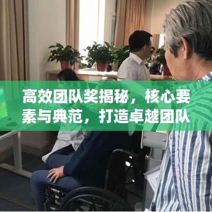 高效團隊獎揭秘，核心要素與典范，打造卓越團隊的秘訣！