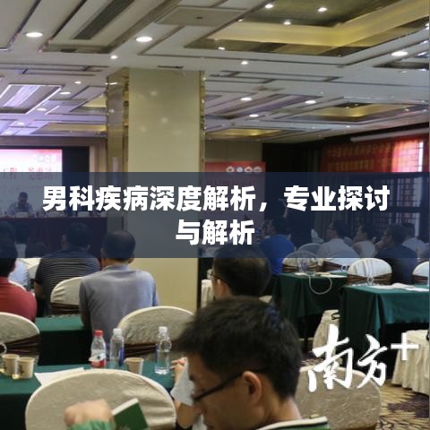 男科疾病深度解析，專業(yè)探討與解析