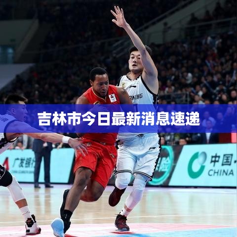 吉林市今日最新消息速遞