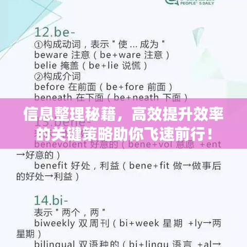 信息整理秘籍，高效提升效率的關(guān)鍵策略助你飛速前行！