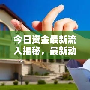 今日資金最新流入揭秘，最新動態(tài)一網(wǎng)打盡