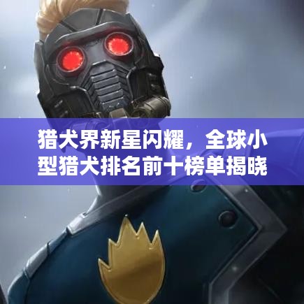 獵犬界新星閃耀，全球小型獵犬排名前十榜單揭曉！