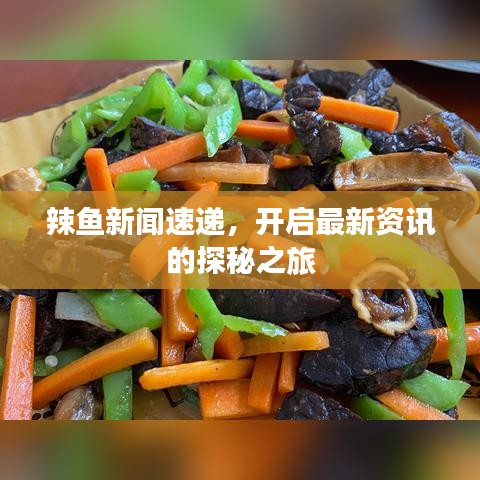 辣魚新聞速遞，開啟最新資訊的探秘之旅