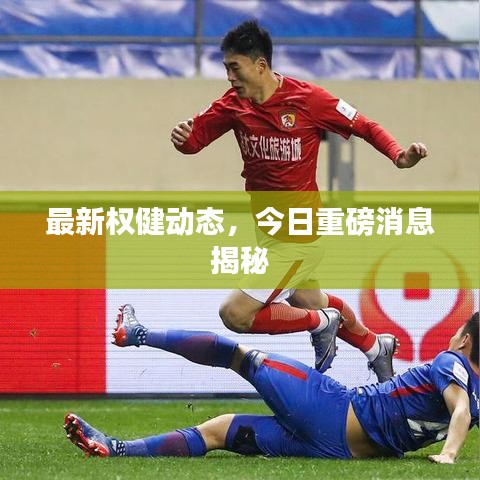 最新權(quán)健動(dòng)態(tài)，今日重磅消息揭秘