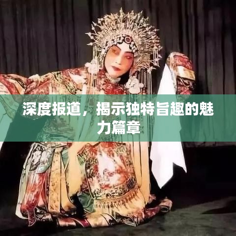 深度報(bào)道，揭示獨(dú)特旨趣的魅力篇章