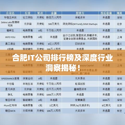 合肥IT公司排行榜及深度行業(yè)洞察揭秘！