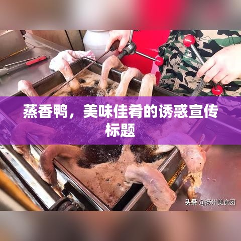 蒸香鴨，美味佳肴的誘惑宣傳標(biāo)題
