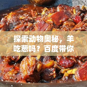 探索動物奧秘，羊吃蔥嗎？百度帶你揭秘自然世界！