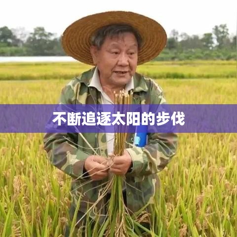 不斷追逐太陽的步伐