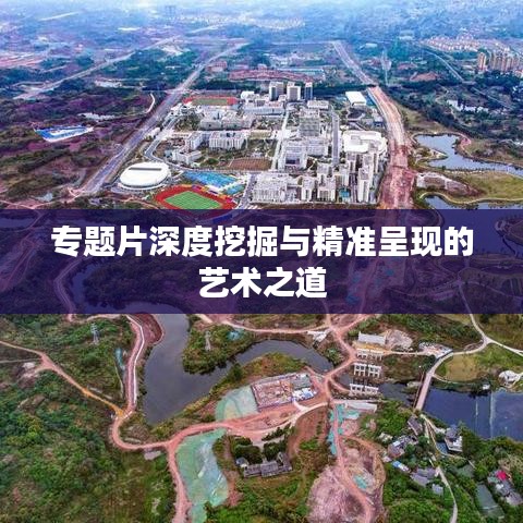 專題片深度挖掘與精準呈現的藝術之道