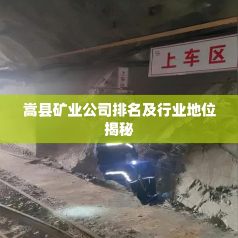 嵩縣礦業(yè)公司排名及行業(yè)地位揭秘