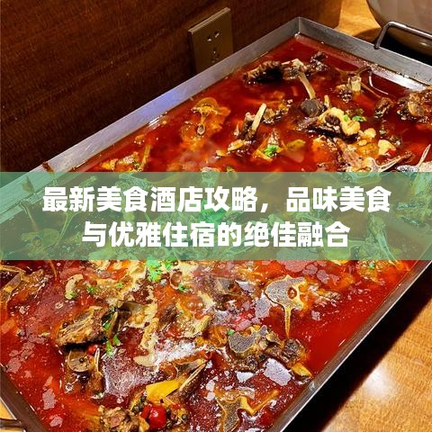 最新美食酒店攻略，品味美食與優(yōu)雅住宿的絕佳融合